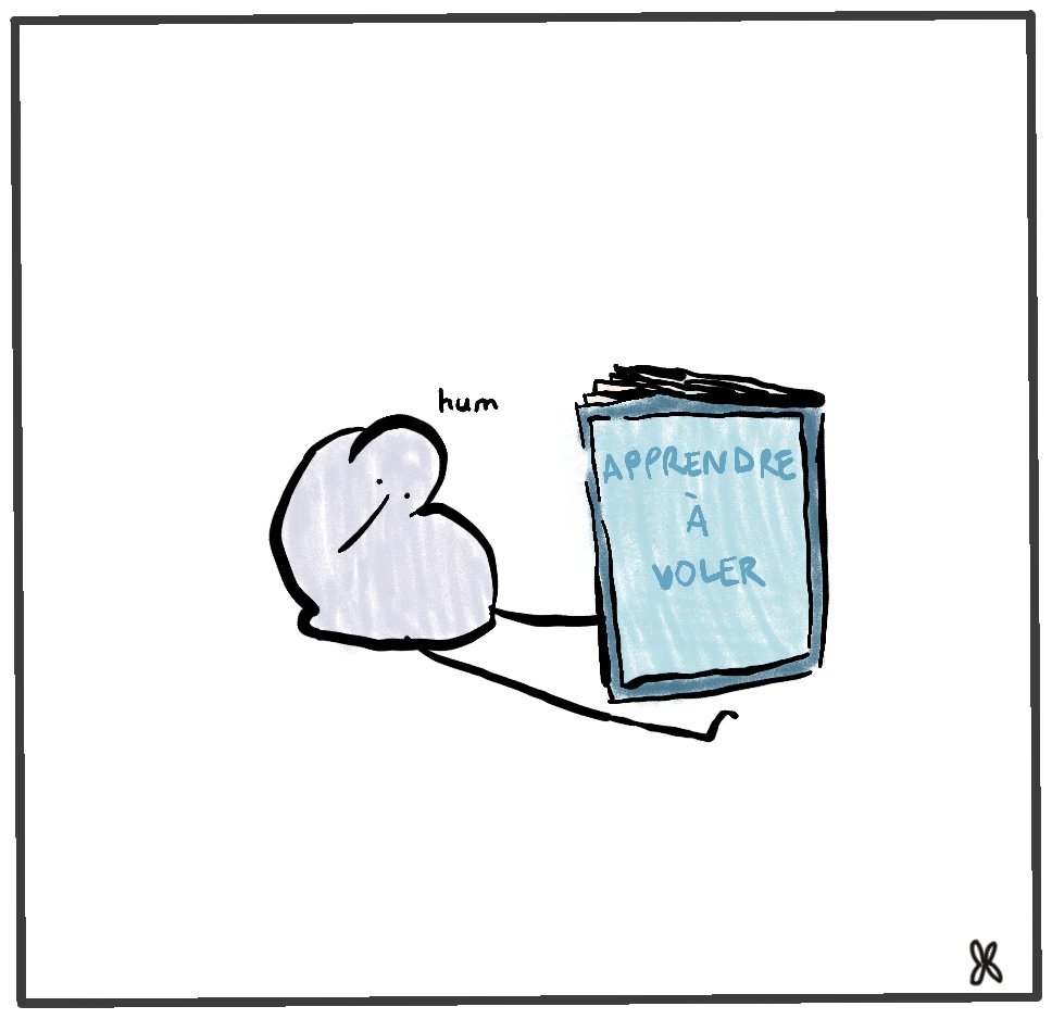 Méchant manuel.