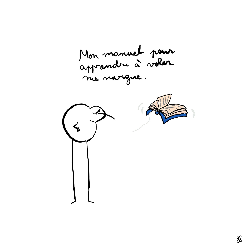 Manuel qui vole