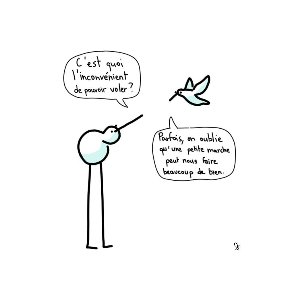 Deux oiseaux.